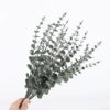Lá Táo Cao Cấp - Sỉ Phụ Kiện Hoa Lá Táo Cao Cấp - Sỉ Phụ Kiện Hoa
