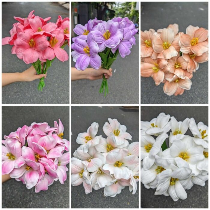Set 10 Bông Tuylip Nở Cao Cấp