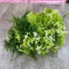 Cỏ Lá Điểm Cắm Hoa Cao Cấp (Nửa Kg) - Sỉ Phụ Kiện Hoa