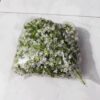 Cành Baby Nở Rời Cao Cấp (0.5kg) - Sỉ Phụ Kiện Hoa Cành Baby Nở Rời Cao Cấp (0.5kg) - Sỉ Phụ Kiện Hoa