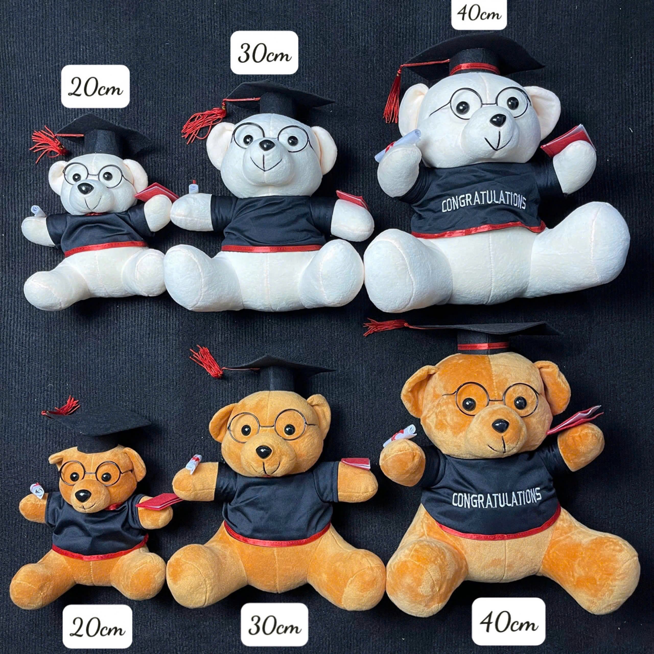 Gấu Bông Tốt Nghiệp Lông Mịn size 30cm - Sỉ Phụ Kiện Hoa Gấu Bông Tốt Nghiệp Lông Mịn size 30cm - Ảnh 2