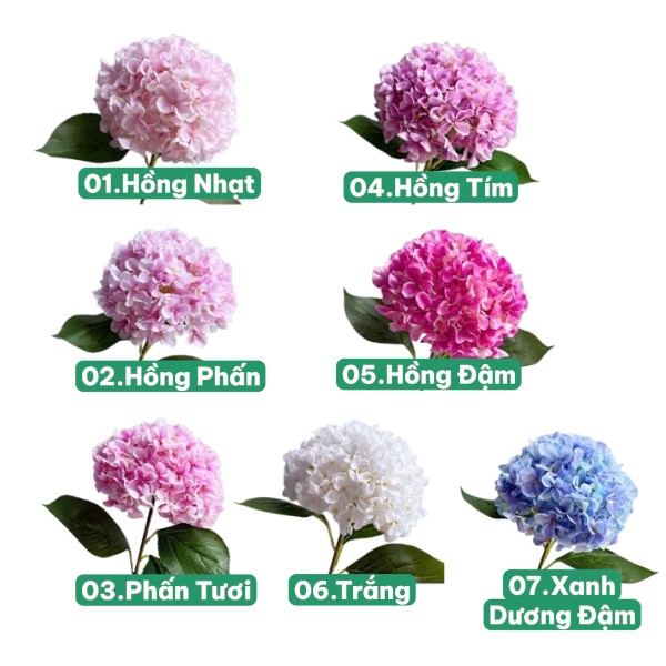 Cành Cẩm Tú Cầu in 3D nhập Trung VIP