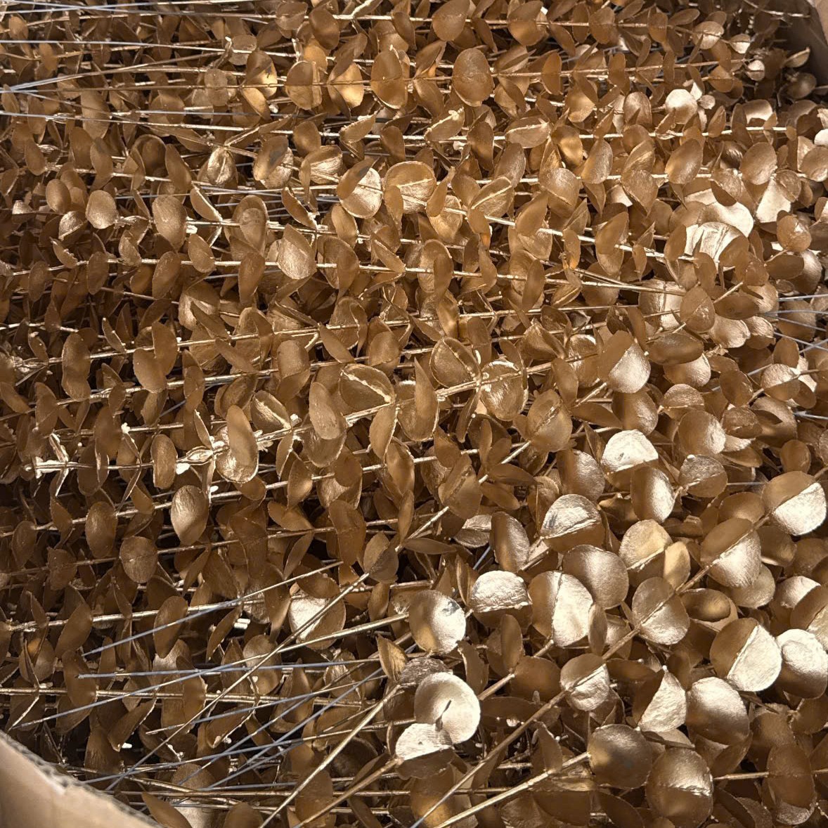 Nhánh Táo Đồng Rời (Bịch 50 cành) - Sỉ Phụ Kiện Hoa Nhánh Táo Đồng Rời (Bịch 50 cành) - Ảnh 2