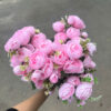 Hồng Mao Lương Hotrend Cụm 5nhánh - Sỉ Phụ Kiện Hoa Hồng Mao Lương Hotrend Cụm 5nhánh - Sỉ Phụ Kiện Hoa